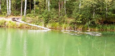 Ożarowskie „morskie oko” - perełka wśród lasów Nadleśnictwa Wieluń